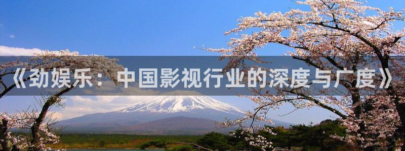 yy易游：《劲娱乐：中国影视行业的深度与广度》