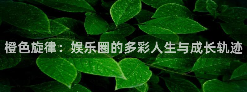 米乐yy易游网址：橙色旋律：娱乐圈的多彩人生与成长轨迹