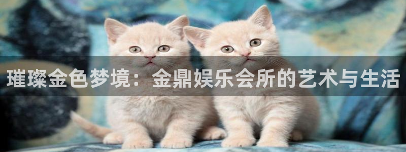 yy易游平台：璀璨金色梦境：金鼎娱乐会所的艺术与生活