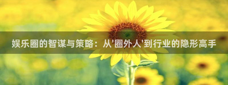 yy易游：娱乐圈的智谋与策略：从\'圈外人\'到行业的隐形高手