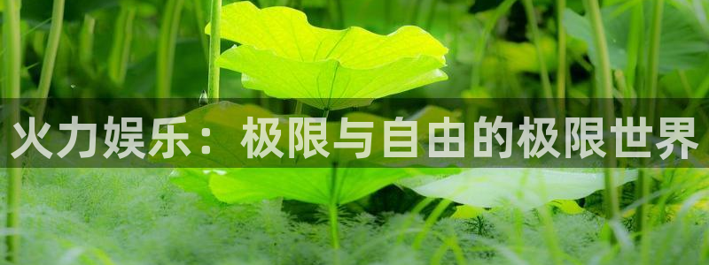 米乐yy易游：火力娱乐：极限与自由的极限世界